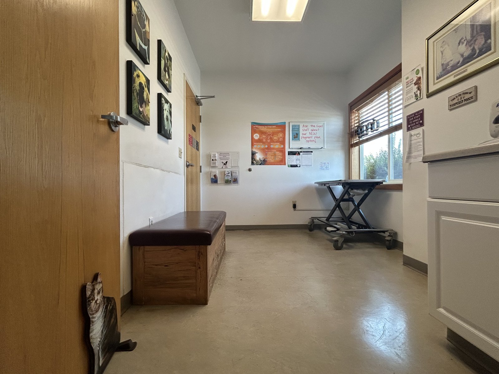 The clinic reception and hallway, with the Our Family photo wall