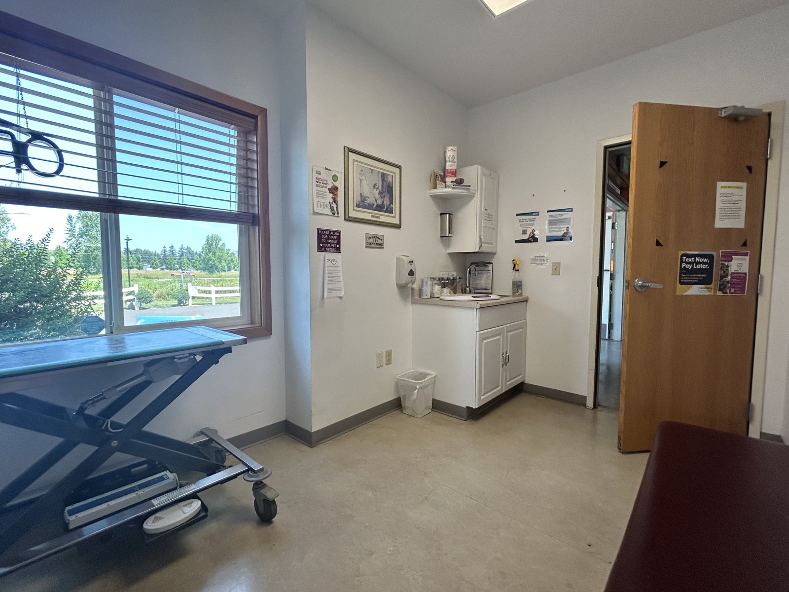 A bright, calm exam room at the clinic
