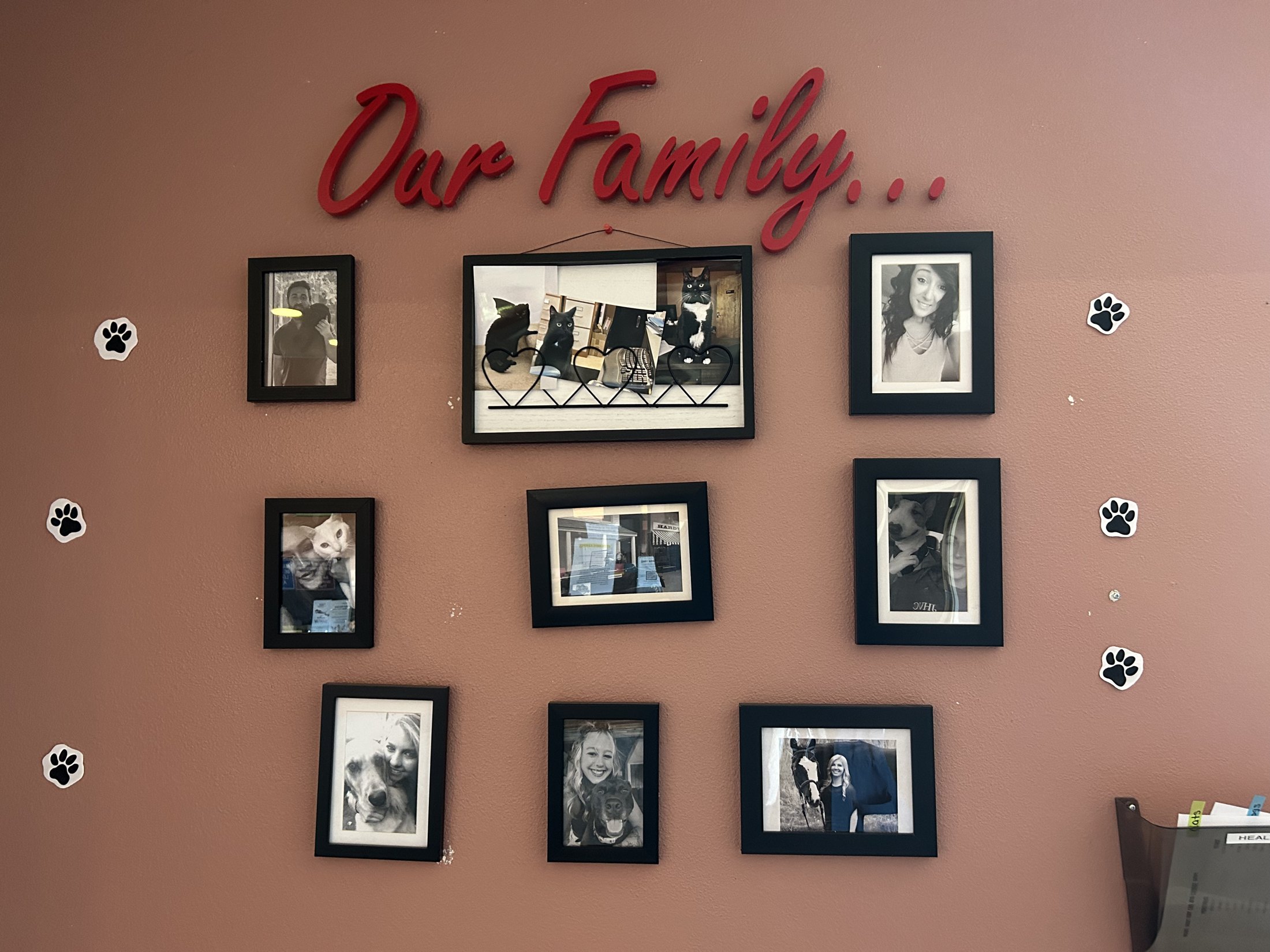 The Our Family photo wall inside the clinic reception, hung with portraits of patients