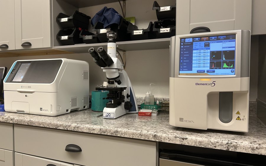 The clinic's in-house lab and diagnostic equipment